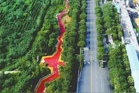 最美街道之钢铁北路图片