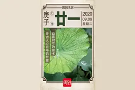 农历中国 | 七月廿一 · 接露水图片