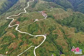 “矿老板”转行种茶叶 带领村民脱贫致富打造循环农业产业链图片