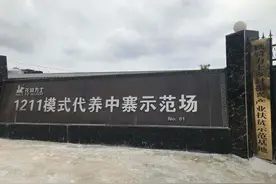 大山深处建起生猪代养场，“家门口”养猪轻松又多金图片