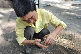 今天我们来夸夸扫帚！图片