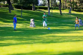 潍坊高新区：千古浞河风 燃耀高新梦图片