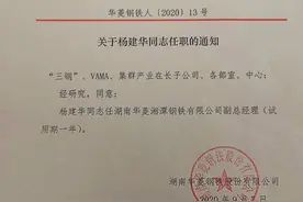 杨建华同志任湖南华菱湘潭钢铁有限公司副总经理图片