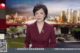 上海：首个知识产权资产证券化项目发行——知本“变”资本  企业融资有新路视频封面
