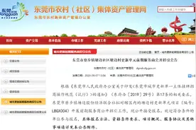 超660亩！万江、寮步、大岭山！这些地方更新改造安排上了图片