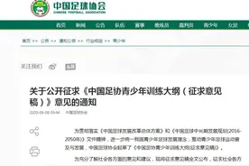 《中国足协青少年训练大纲（征求意见稿）》发布图片