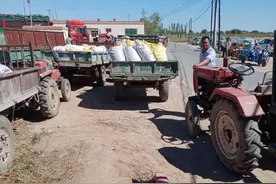 云求助丨内蒙古“玉米案”当事人成辣椒经纪人 创业遇困境，3000吨鲜椒寻买主图片