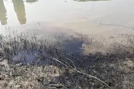 谁干的？把废机油倒在汉江里图片