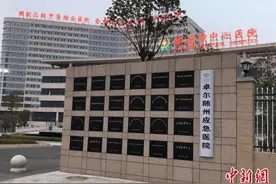 不惜代价但尽所能 全国抗疫表彰大会卓尔控股荣膺两项荣誉图片