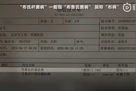 “现挤羊奶”背后：信奉“新鲜即营养”与感染“布病”的隐患图片