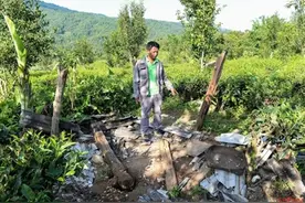 7年8人被攻击致死 贫困县的人象冲突如何解？图片