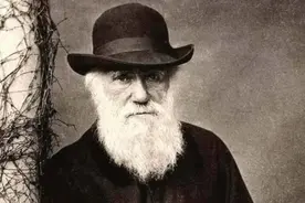 窥探宇宙的能力——眼睛的进化史图片