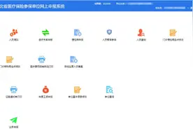 河北开通省本级医疗保险停保网报业务图片