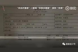 “现挤羊奶”背后：信奉“新鲜即营养”与感染“布病”的隐患图片
