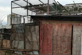 楼顶养鸽总扰邻 部门监管左右为难 一线执法人员盼出台管理细则图片