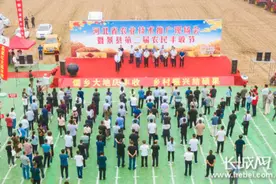 景县王千寺镇：儒乡大地庆丰收 乡村振兴结硕果图片