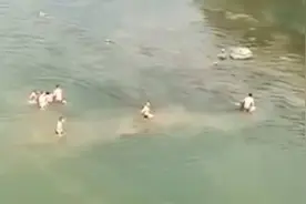 43秒丨点赞！湖南多名市民接力跳水救落水父女 所有人都安全上岸视频封面