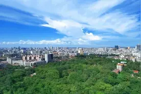 最全梳理海南自贸港个人所得税优惠政策图片