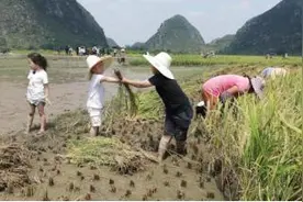 《谁知盘中餐》：亲手为父母做一顿饭 感恩世间赠与图片