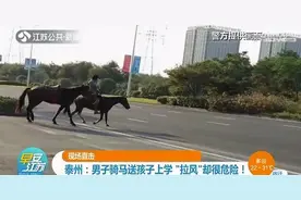 男子骑马送孩子上学 被交警教育：马受惊咋办？图片