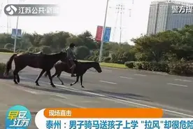 男子骑马送孩子上学 被交警教育：马受惊咋办？图片