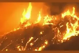 美国一户人家举办胎儿性别揭晓派对，放烟火后引发加州野火图片