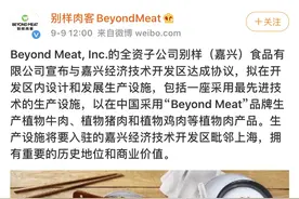 美国著名人造肉生产商落地中国，曾获比尔·盖茨投资图片