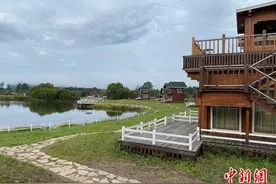 内蒙古变避暑胜地迎“迁徙”图片