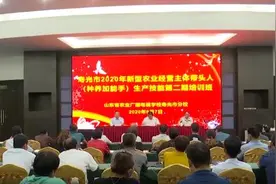 潍坊寿光市：新型经营主体带头人专业技能第二期培训班开班视频封面