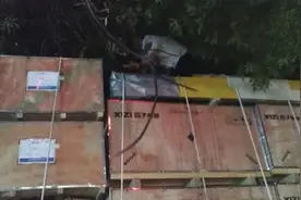 险！大货车超高拉货挂住空中电缆线图片