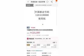 一个手机号拍卖出22.1万，河南这家法院怎么做到的？图片