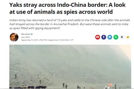 印军向中国归还牦牛，却被印媒“脑补”成间谍图片