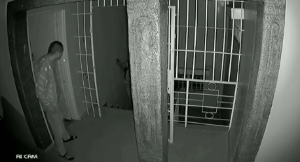 admin 第539页