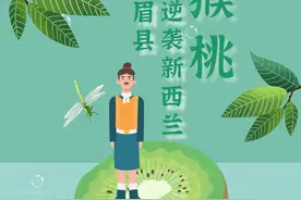猕猴桃：周至+眉县，能不能“逆袭”新西兰？图片