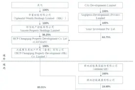 协信地产板块上半年亏了12.57亿 实控人非吴旭也非新加坡企业图片