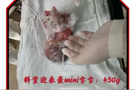 出生时不到一斤！浙江最轻新生儿今天出院图片