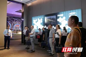 常德“四优活动”评审组考察城投·十里外滩项目图片