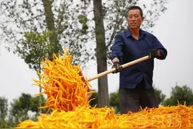 不让车与船比渡河，不让牛与马比赛跑丨宝丰“差异化”考核激活发展动力图片