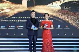 杨澜：畅游忻州大地 增强文化自信图片