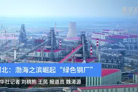 河北：渤海之滨崛起“绿色钢厂”视频封面