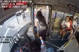 女乘客乘公交，车长却掏钱请她下车？原因是她携带了一只宠物猫图片