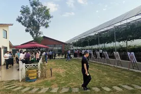亩均节约水肥30%-50%，葡萄界的“白富美”在这里也要讲“节约”｜聚焦四川家庭农场和农民合作社高质量发展③图片