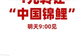 百万网友梦碎！1元转让“中国锦鲤”的信小呆被禁言3个月图片