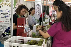 全川猕猴桃成都大集结，“红心”甜了消费者的心图片