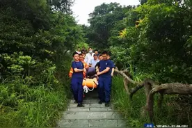 深圳一游客在梧桐山登山道旁树林发现一名瘫倒女子，已送医图片