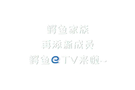 精彩！新品上线→图片