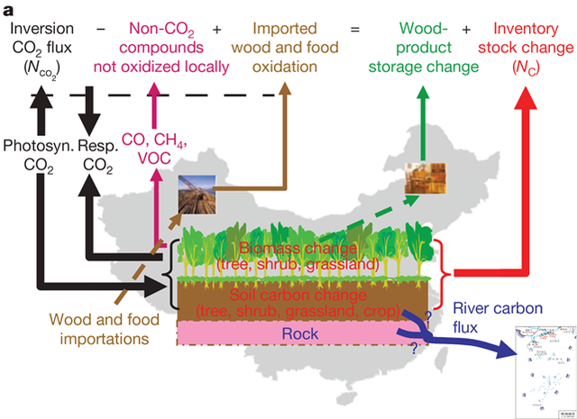 北京市科学技术奖今天揭晓！北大获一等奖4项，二等奖3项，杰出青年中关村奖3人