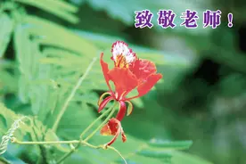 龙江夜读 | 师恩绵长图片