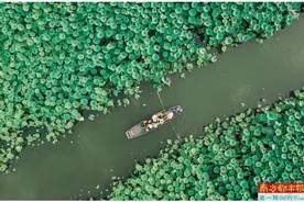 水乡赏花观海“十一”欢迎来江门图片