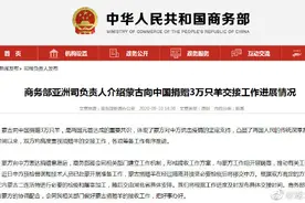 蒙古国捐赠的3万只羊将在内蒙古检疫屠宰，加工后交给湖北图片